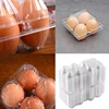 50Pcs Plastic Egg Cartons Bulk Clear Chicken Egg Tray Holder for Family Pasture Chicken Farm Business Market- 4 Grids 5