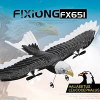 RC Foam Plane 405mm Simulation Wingspan Eagle Aircraft 2.4G Radio Control Remote Control Glider Airplane Toys for Children Boys 2