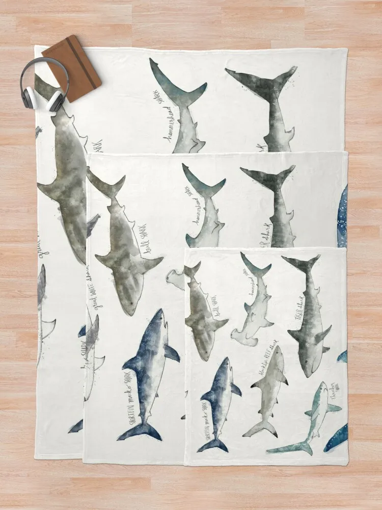 ��� ������ ���, ���� ������