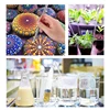 1-10 pcs diameter 2-30mm acrylic pin rod acrylic round rod DIY crafts plant pile curtain pull fixing rod length 100-300mm 6