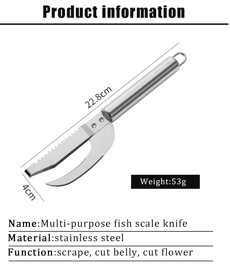 Scale Fish Scraper - Angle 8