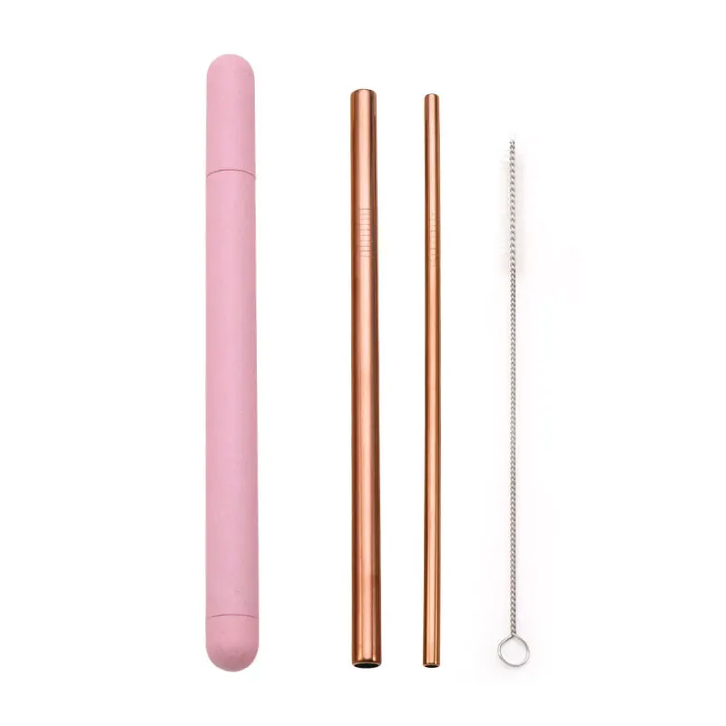 Premium Stainless Steel Reusable Straw Set with Cleaner and Portable Case