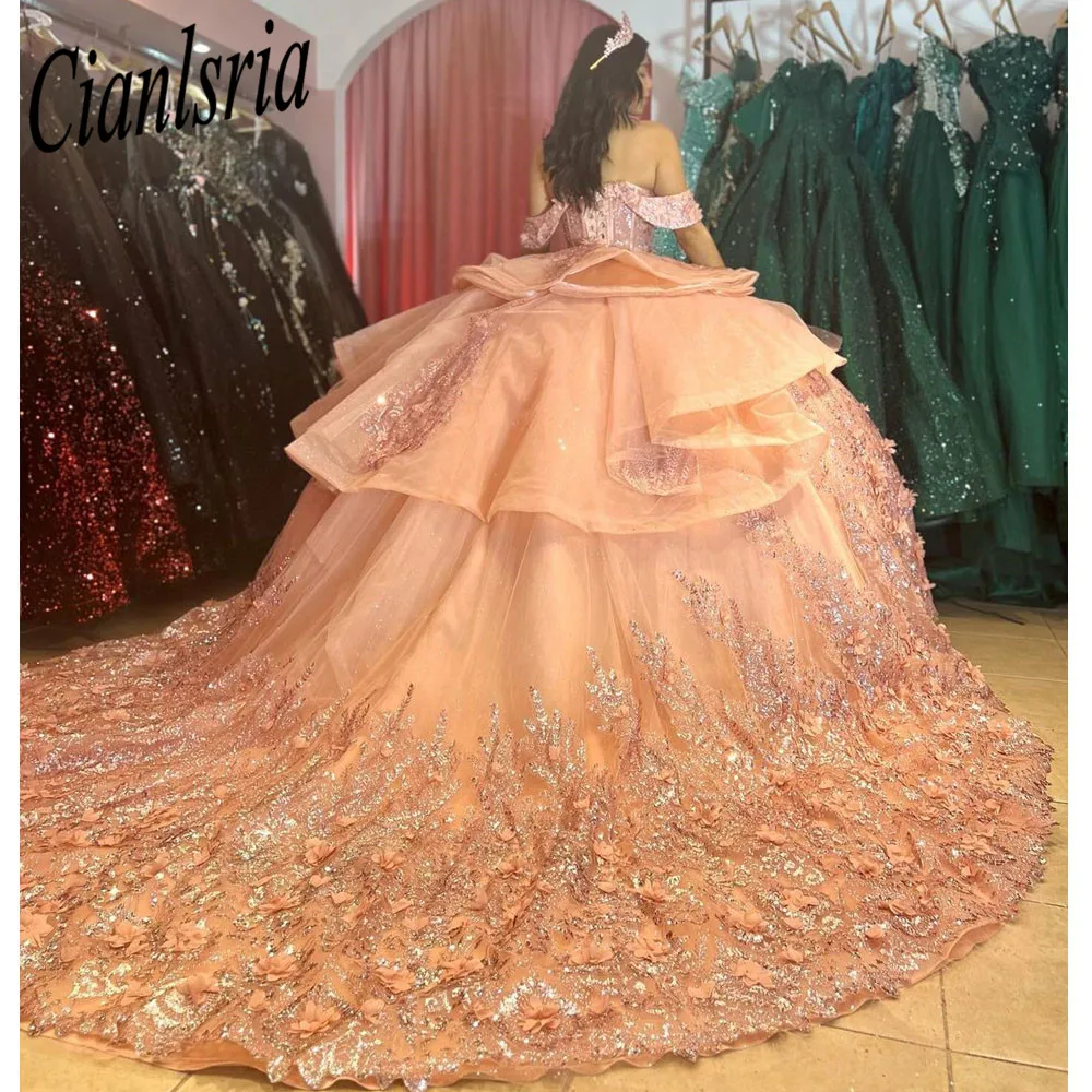 

Sparkly Blush Quinceanera Dress 2023 Ball Gown Appliques Beading Sequins Puffy Skirt Sweet 15 16 Dress Vestido