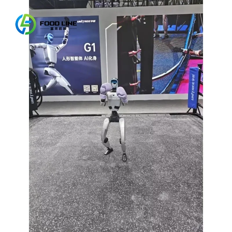 Robot Umanoide Bipede Personalizzato con Controllo Avanzato del Movimento per Applicazioni di Boxe e Intrattenimento Interattivo - immagine 6