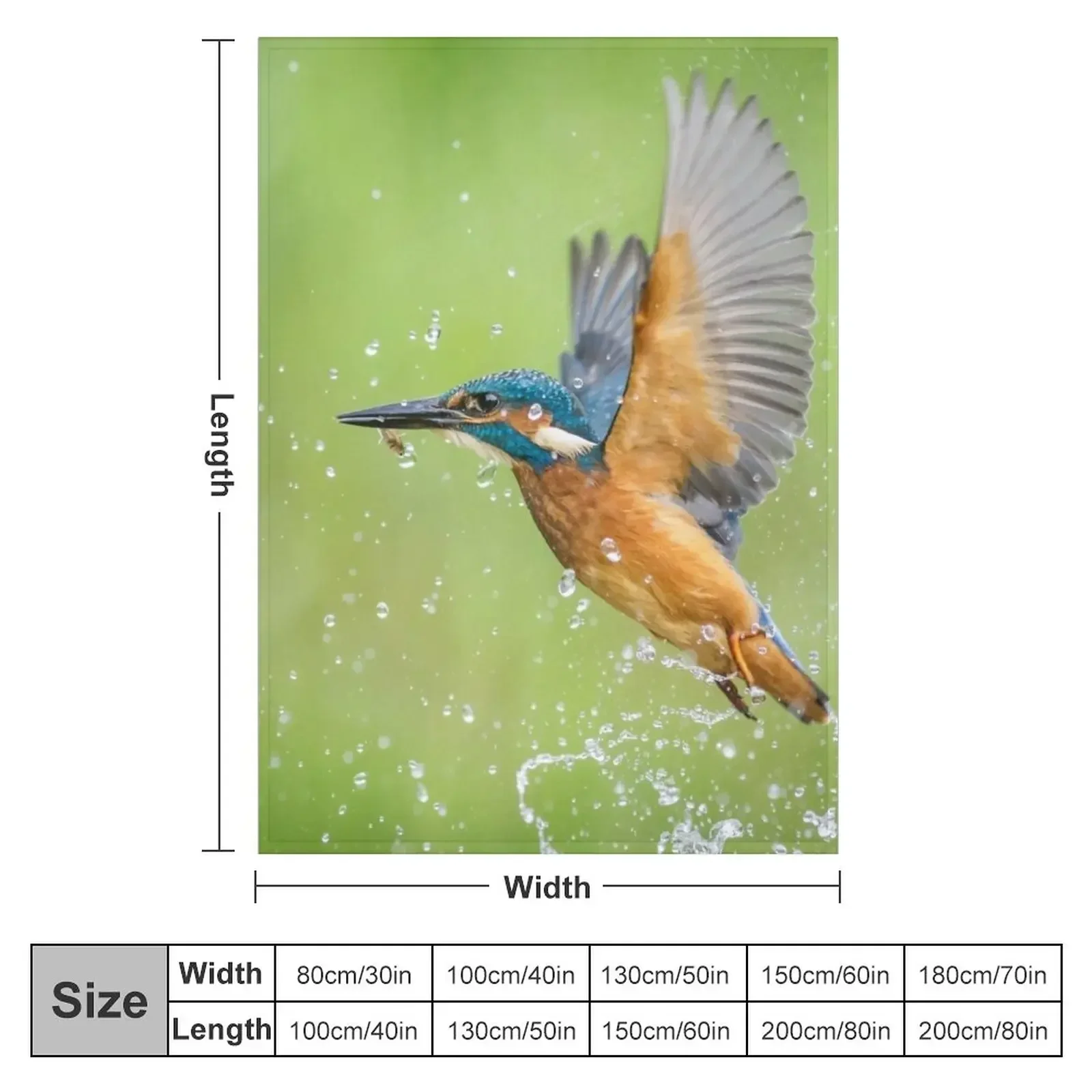 Kingfisher ������ ������ ���, ķ�� ���� ������ ���