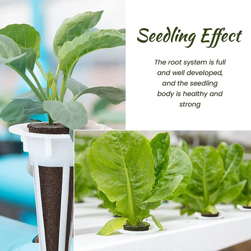 Planting Basket Grow Sponges Planting Sponge Blocks for Aerogarden Plant-Hydroponics Soilless Growing System 50Pcs/set hydroponic gardening kit hydroponic planting basket hydroponic root sponges