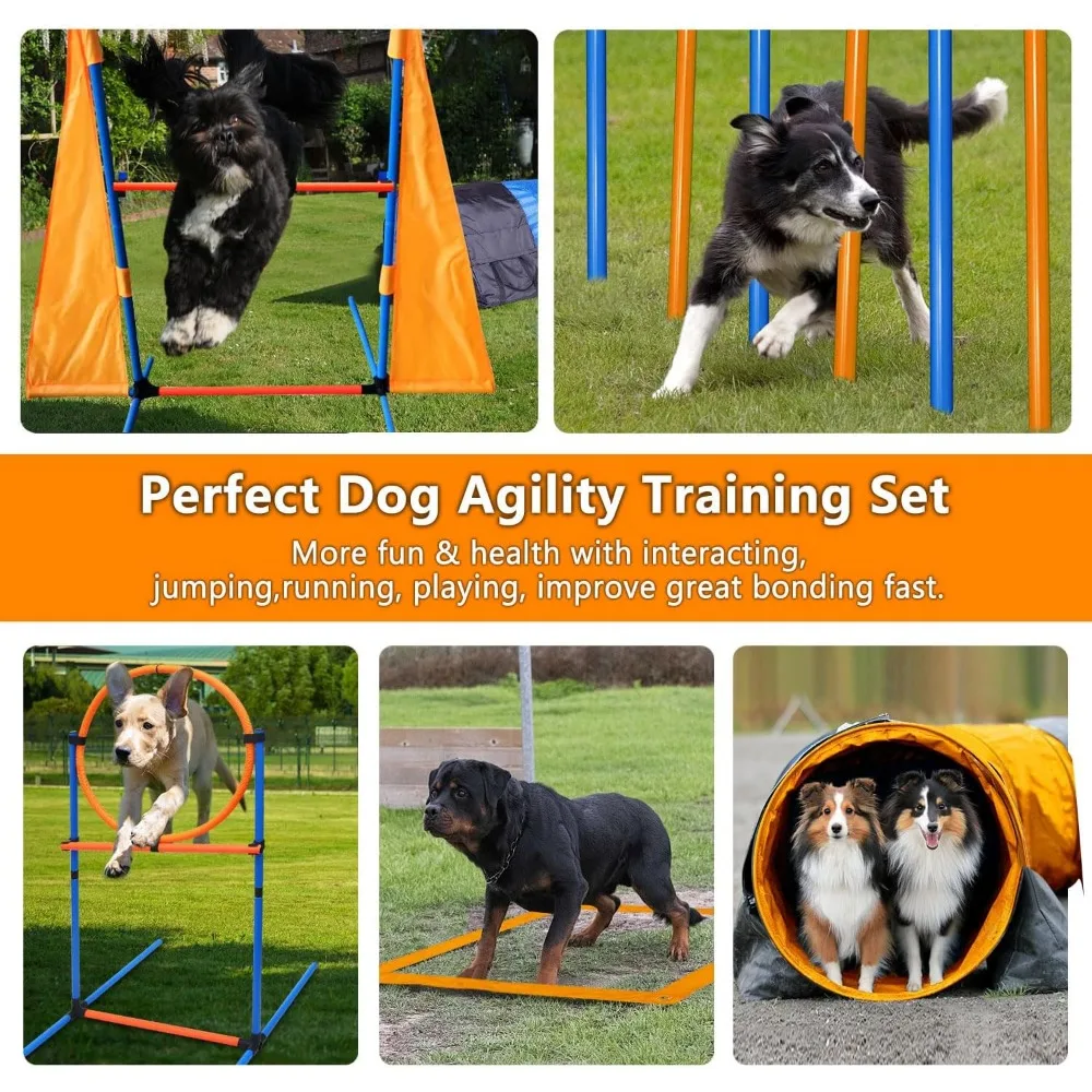 Dog Agility Training Set 3