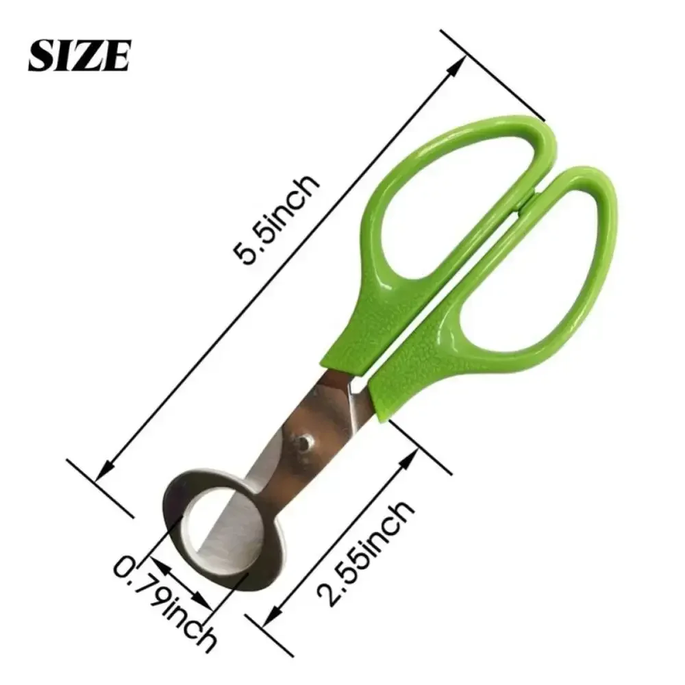 Egg Shell Opener Egg Shell Scissors Egg Opener Stainless Steel Quail Egg Shell Opener Roasted Bird Egg Scissors Eggshell Opening Divider Kitchen Cooking Tools