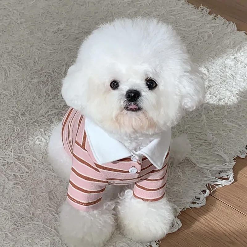 인스 폴로 칼라 테디 베스트 애완동물 스트라이프 의류 통기성 반팔 봄 여름 비숑 포메라니안 티셔츠