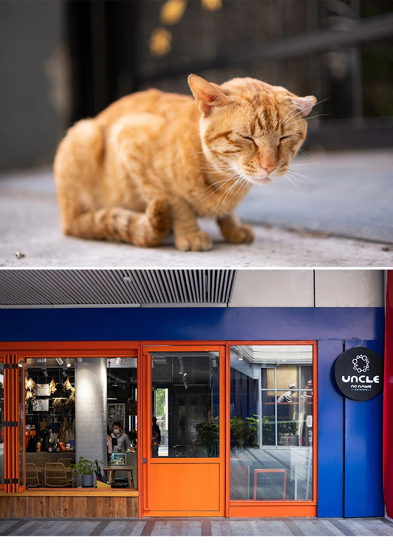 Viltrox AF 33mm F1.4 33/1.4 XF 33F1.4 Large Aperture Portrait Prime Lens STM for