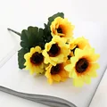 7 Heads Sunflowers