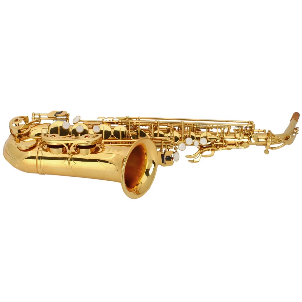 Stylish Mid-range Alto Drop E Lacquered Golden Saxophone Painted Golden Tube with Carve Patterns