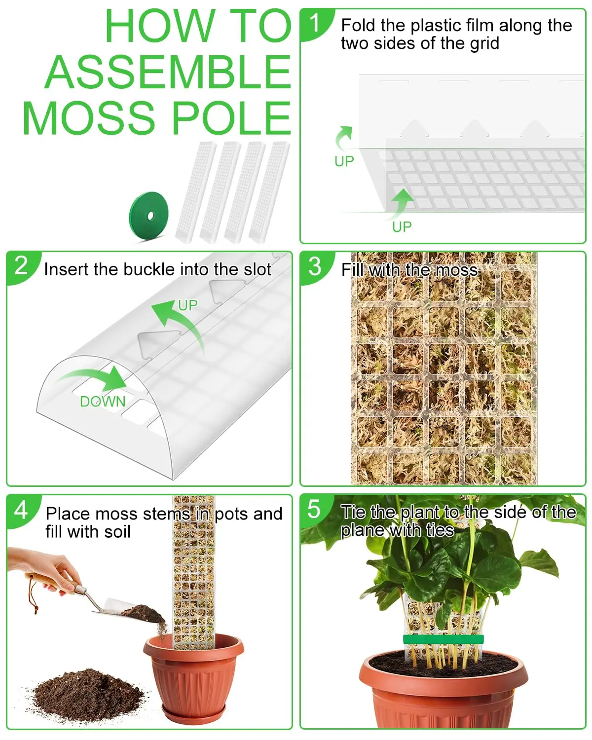 6 Pali Di Muschio Per Piante Monstera, Pali Impilabili In Plastica Da 156 Pollici Per Piante Rampicanti Piccole O Medie Monstera~p151391970