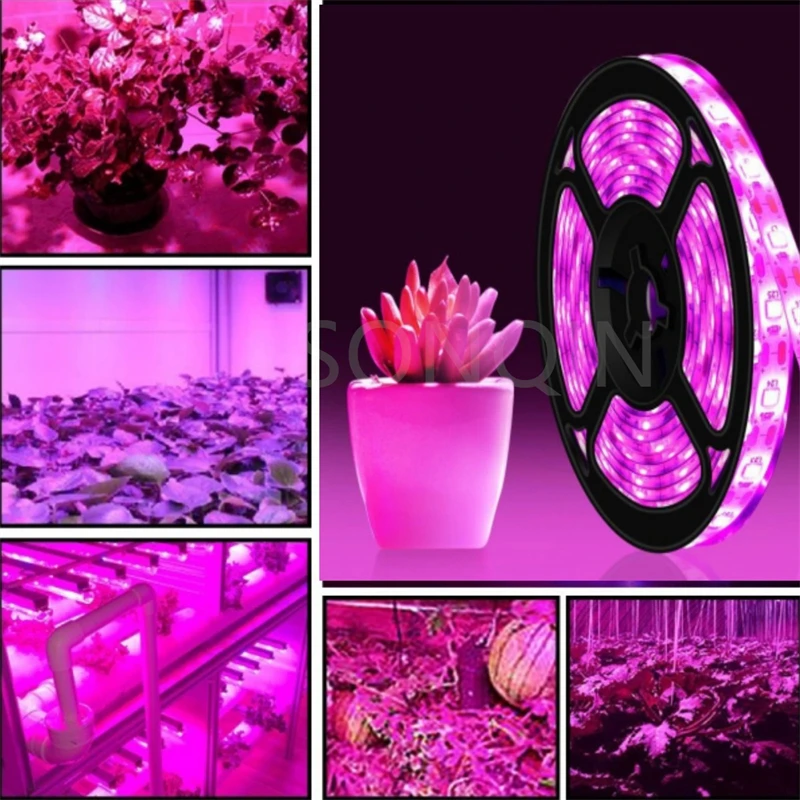 12V Led Plant Grow Light Full Spectrum Phyto Lamp 1m 2m 3m 5M Strip For Seeds Flower Greenhouse Tent Hydroponic Plants Lighting led grow light grow light