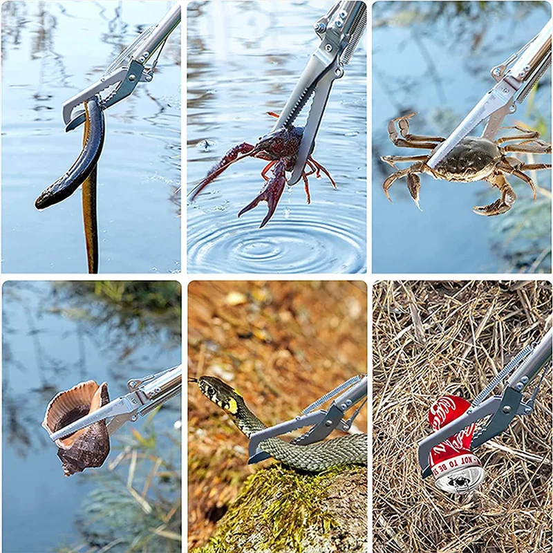 Slide image b4f87d6451ec4329ab0839d3bddd459d