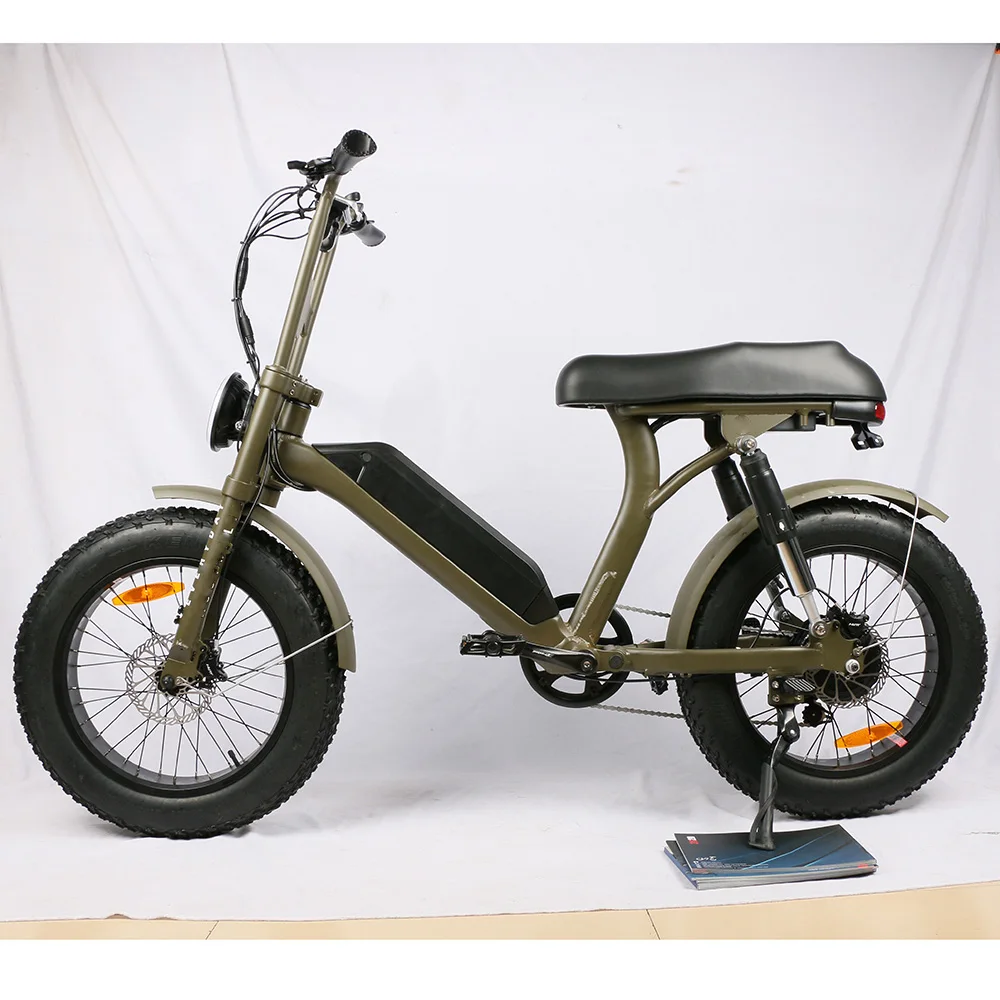 48V 250w Rear Hub Motor with 13ah Lithium Battery Dirt Bike 450cc Off-road Motorcycles E-bike 1000w Electric Bike Bafang