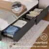 Queen LED Bed Frame with 4 Drawers and 2 USB Charging Station, Upholstered Platform Queen Size Bed Frame, Dark Grey 6