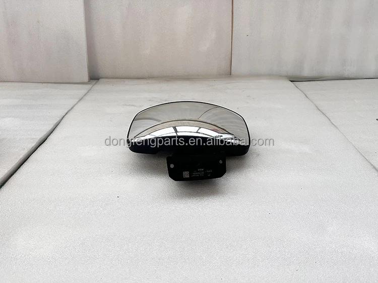 오리지널 운송 상용 트럭 교체 부품 백미러 8219105-GX200