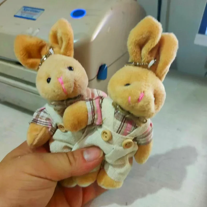 

15cm New Cute Couple Plaid Clothes Rabbit Stuffed Animals Plush Soft Toys Hobbies Schoolbag Decoration Birthday Gifts Girls