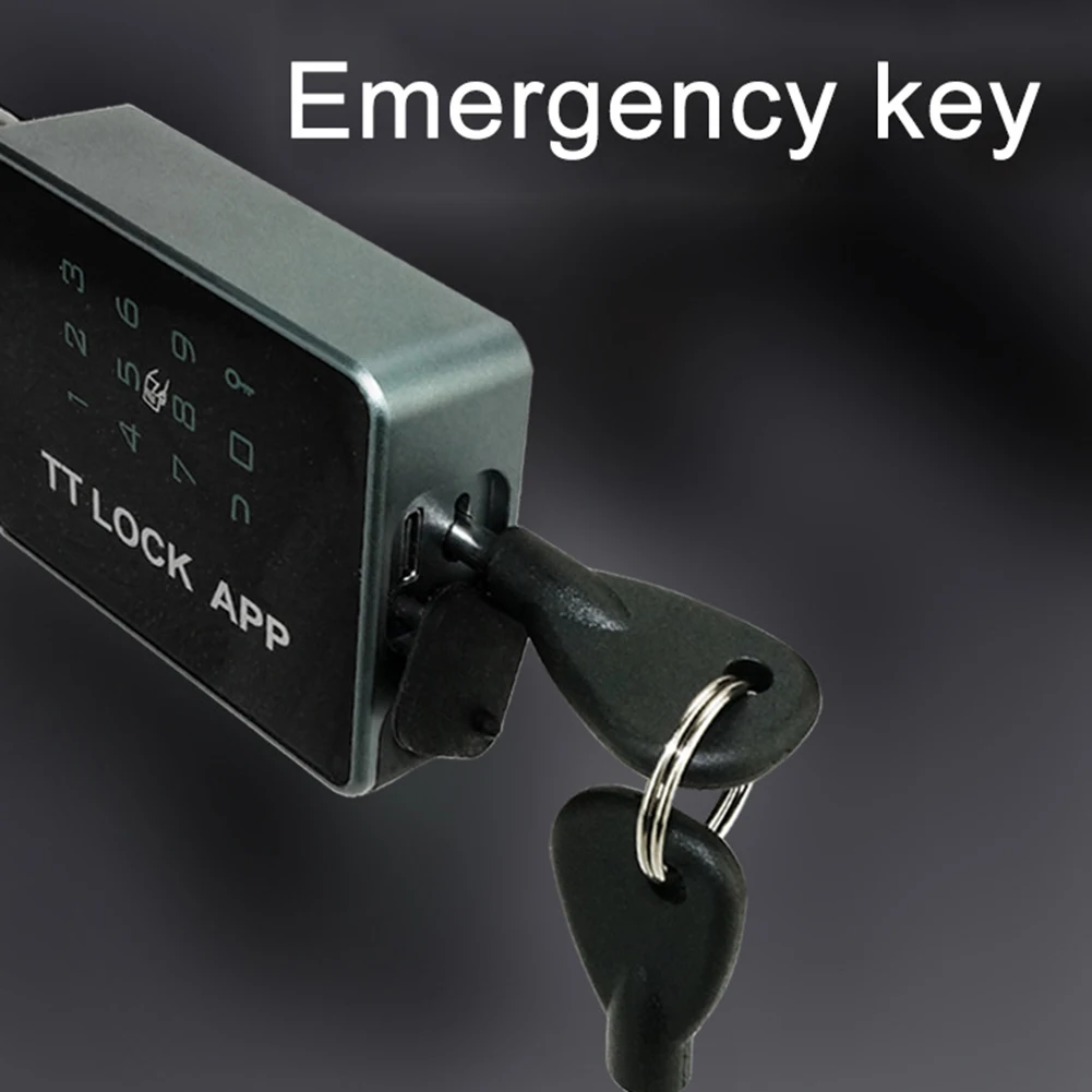 TUYA/TTLOCK    ڹ, Ű  ڹ, ˷̴ ձ, IP65 ,  