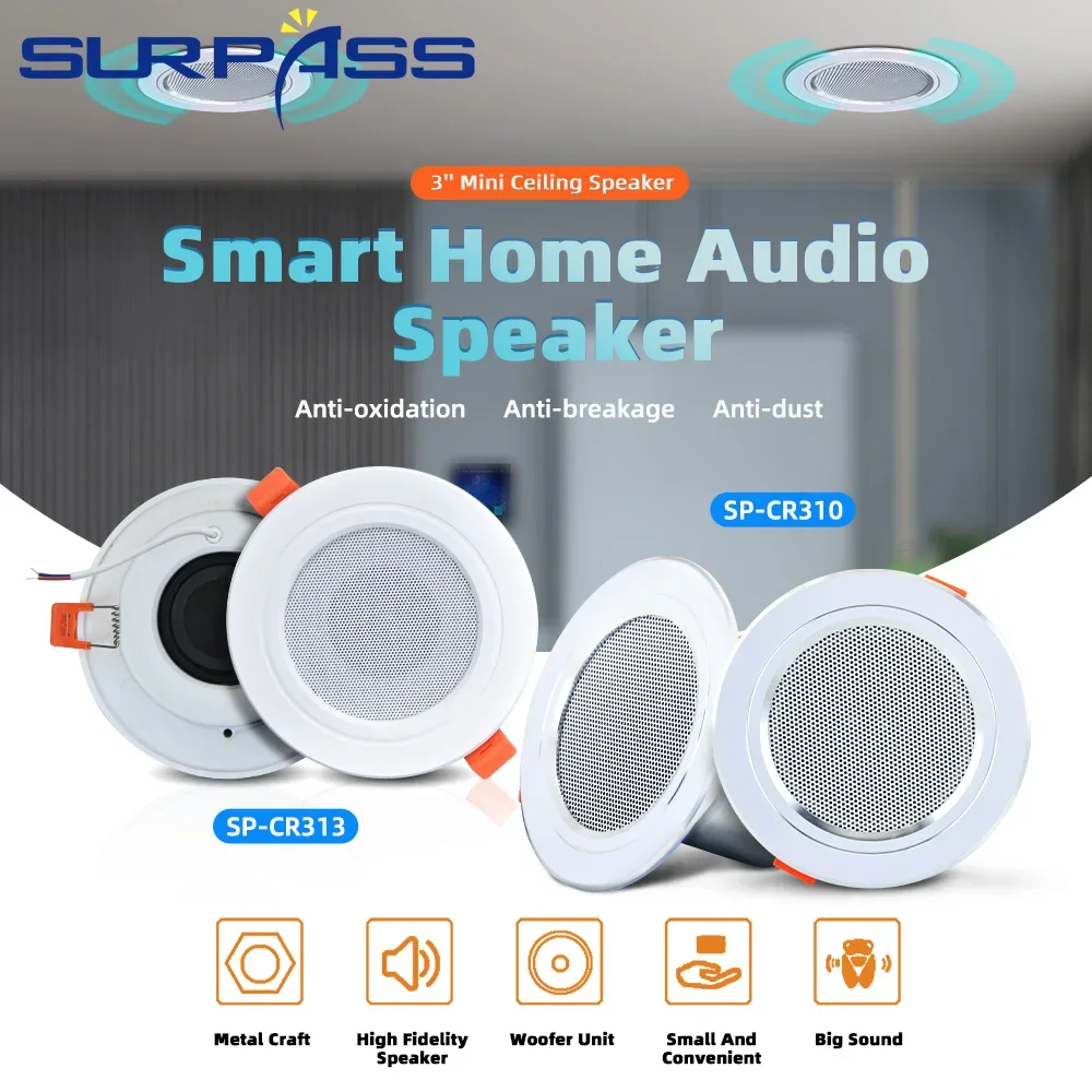 Ceiling Speakers Sonos Amp Google Assistant Connect Amp Connect