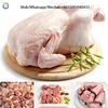 Hydraulic Electric Guillotine Machine Bone And Frozen Meat Cutting Machine Beef Bone Cutting 6