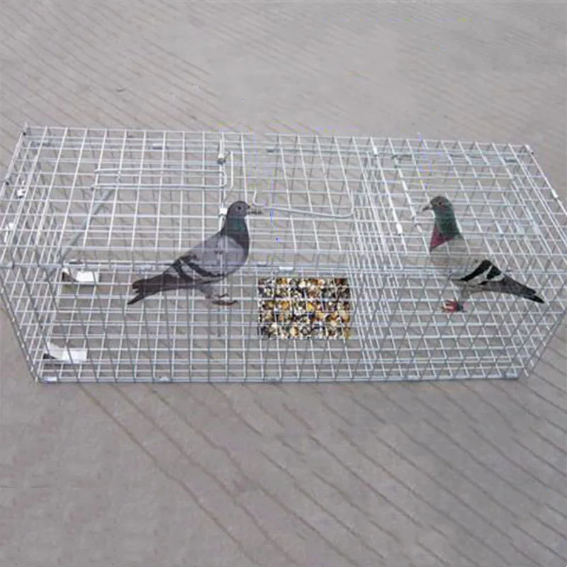 Cage De Capture Pliable Pour Animaux Vivants, Piège À Double Porte Pour  Animaux Vivants, Pour Les Sangliers, Les Chats, Les Renards, Les Cochons  D'inde, Les Ratons Laveurs Et Les Pigeons - Pièges 