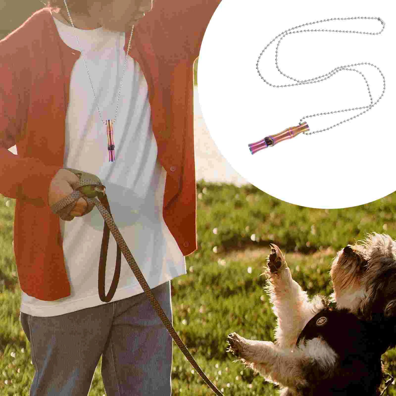 

Bird Training Whistle Dog Bark Control Camping Pet Hanging Silent Emergency to Stop Barking