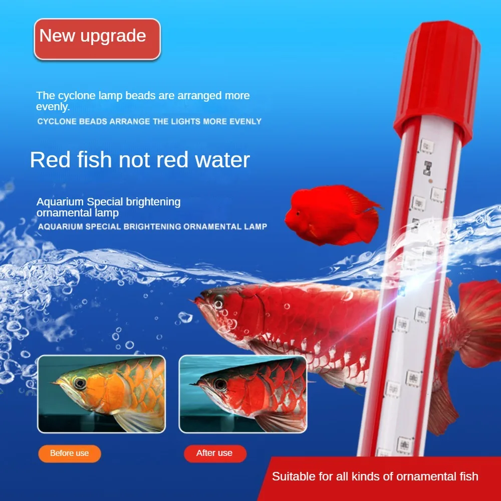 キ*ン様 Arowana Magical Light Series S517fb80db3ce4aaf8bb20ba57bbf6