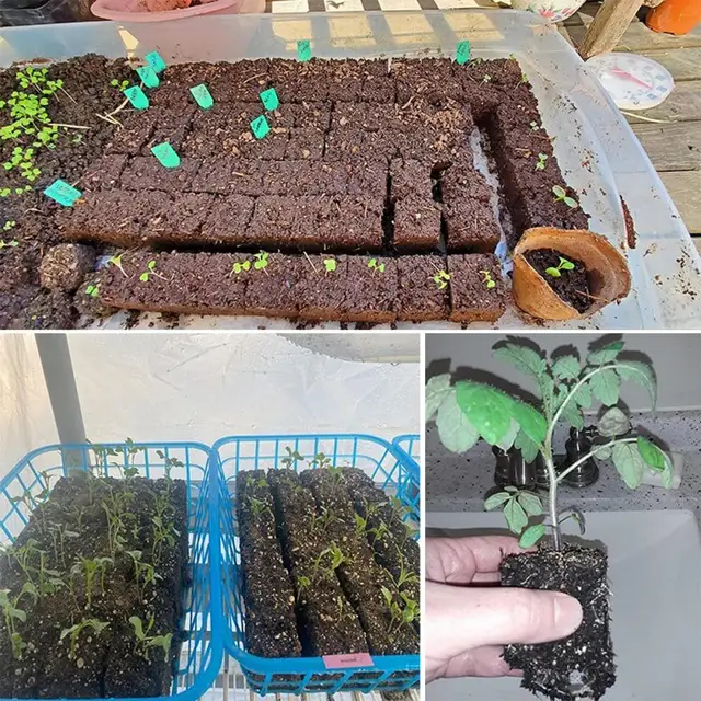 1 Beállított Kézi Talajblokk -Készítő Rozsdamentes Fém Talaj Blokkoló Szerszám Újrahasznosítható Ergonómikus Fogantyúkert Kerti Szerszámkészlet - Image 5