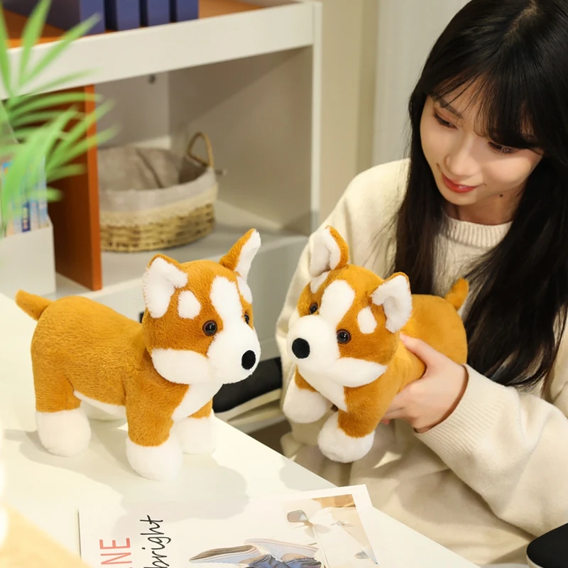 S5180b52f3d74404ab86e291b5428268fb - Corgi Gifts