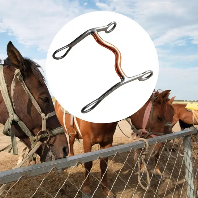 Western Horse Snaffle Chew Racing Accessory Equestrian Mouth Bit for Outdoor Horse Riding Training Equestrian Sports Competition 3