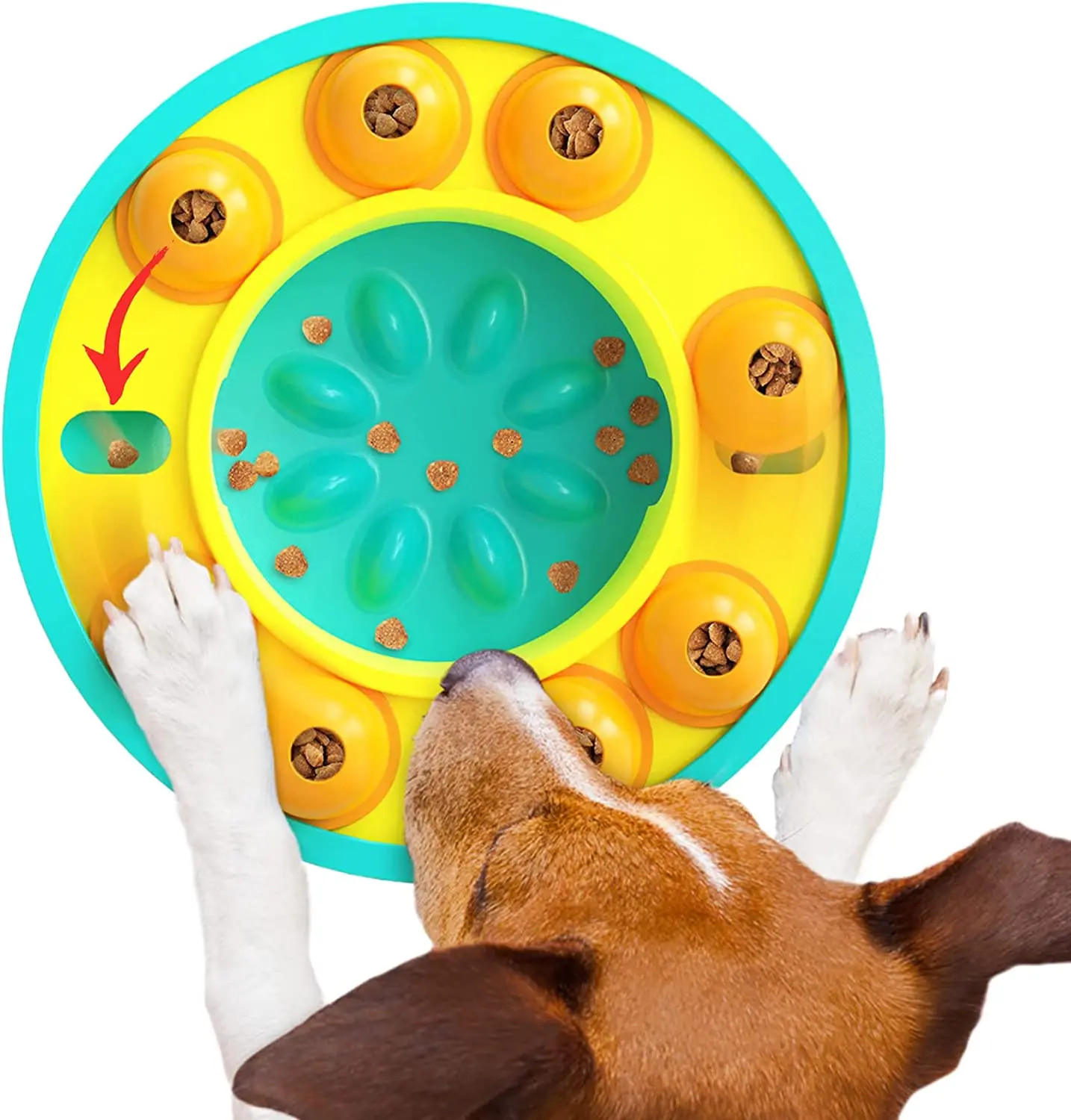 21 Dog Puzzle Toys That Will Make Your Pet Smarter