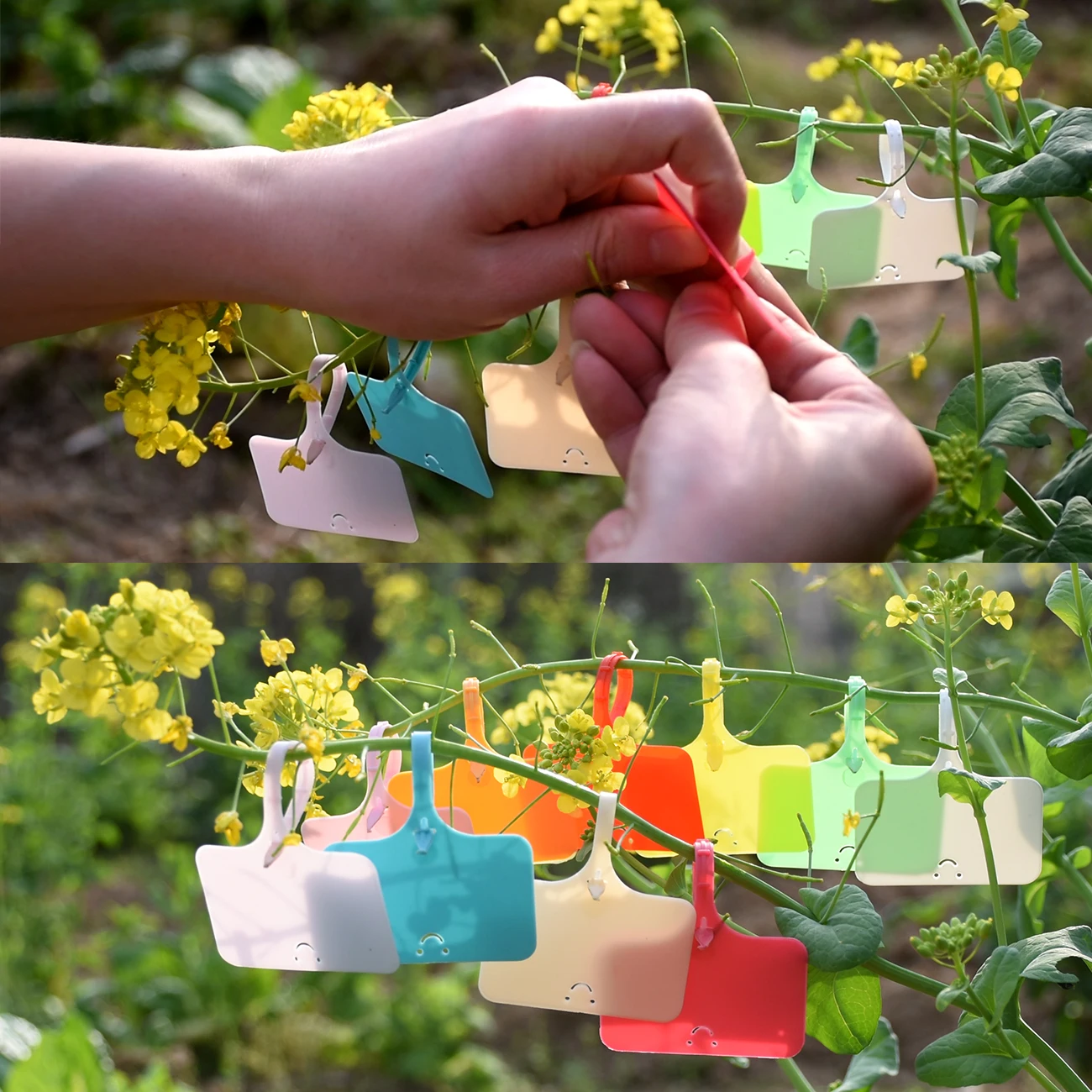 Plante réutilisable en plastique de jardin, étiquettes de signalisation étanches de type T attro, plaque d'enregistrement, marqueurs, piquets de fleurs en pot, 30-100 pièces