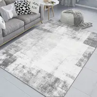 Minimalism Rooms Decoration Carpet Light Grey Living Room Carpets Hall Sofa Large Area Rug Bedroom Cloakroom Floor Mat Anti Slip 1