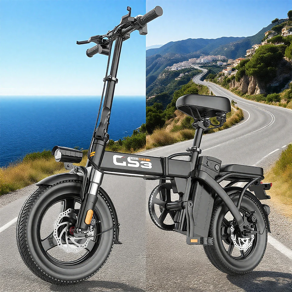 TOOFLY GS3 Folding Electric Bicycle with Removable Battery