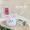 Cute Big Ears Rabbit Shaped Soft Llighting Small Night Light Bedside Light Decoration Bedroom Atmosphere Light Girl Child Gift 4