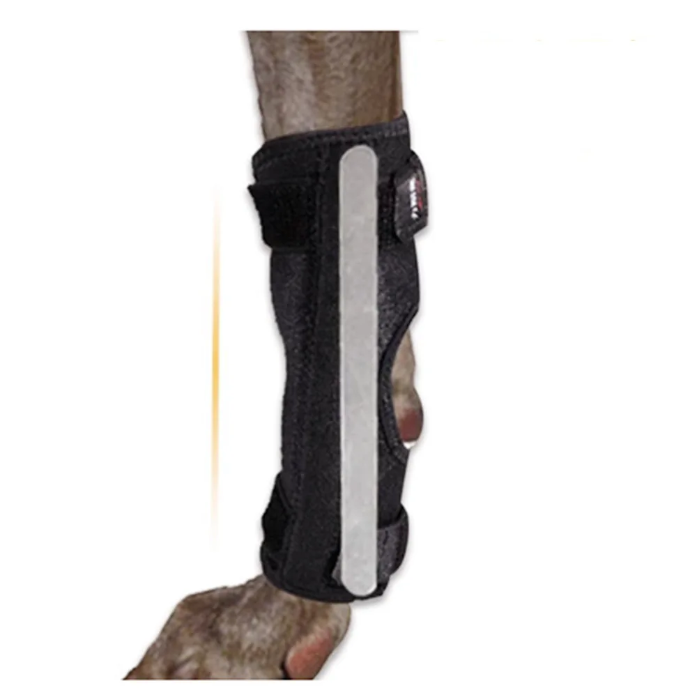 Dog Injurie Leg Knee Brace Strap Dog Arthritis Auxiliary Fixed Joint