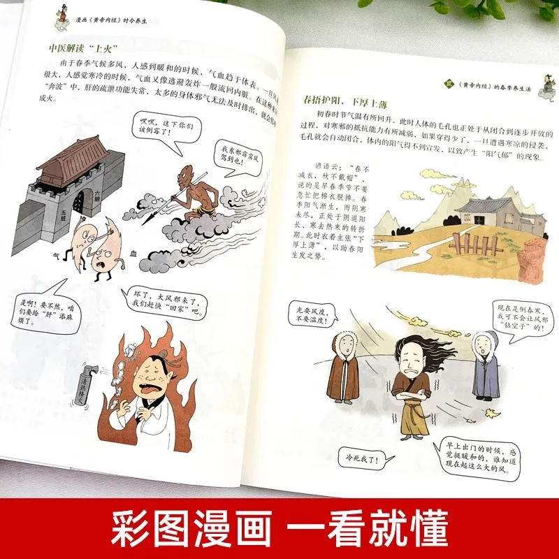Yellow Emperor's Inner Canon Comic Version Huangdi Neijing Chinese Medicine Health Books - 6