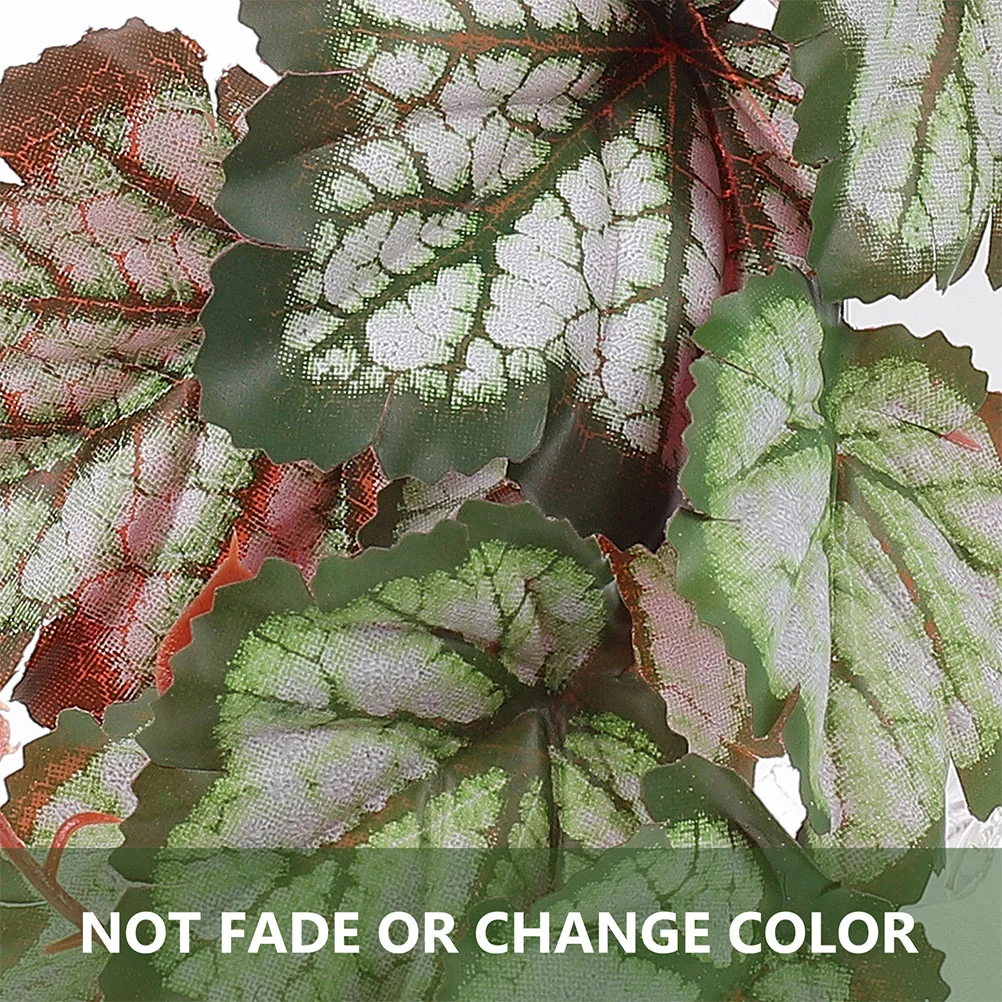 Рисунок 6 - Присоски для подвешивания растений