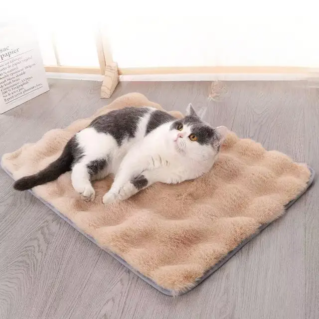 Ultra-Soft Pet mat Winter Warm Dog Blanket Cat bed Sofa Mat Super Comfortable Pet Blanket Pad Mat for Cats Dogs Sleeping Mat 2