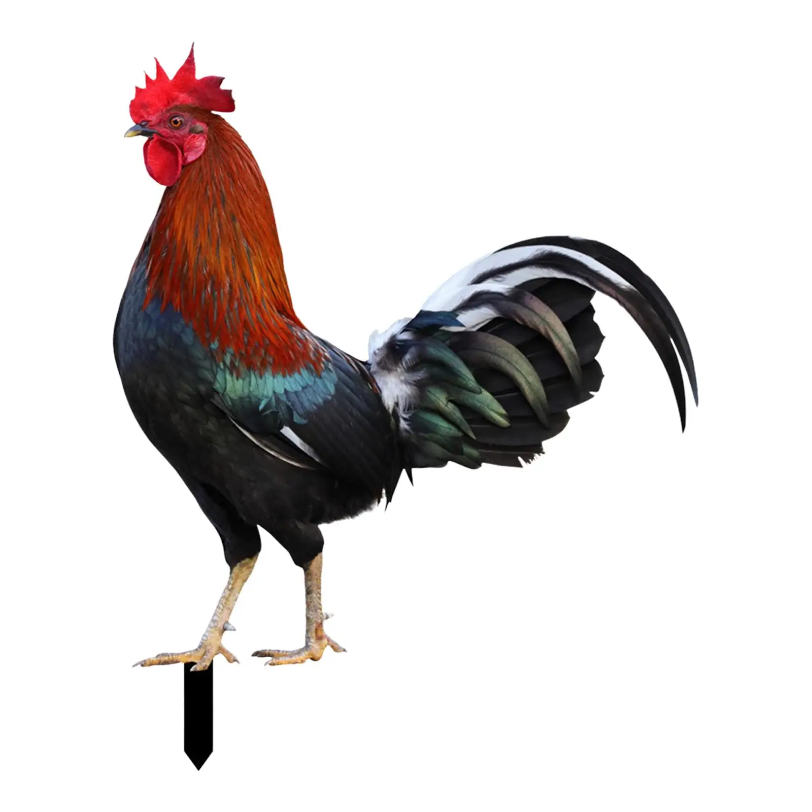 Rooster Animal Statue Stakes Hen Garden Decor for Courtyard Outdoor Pathway