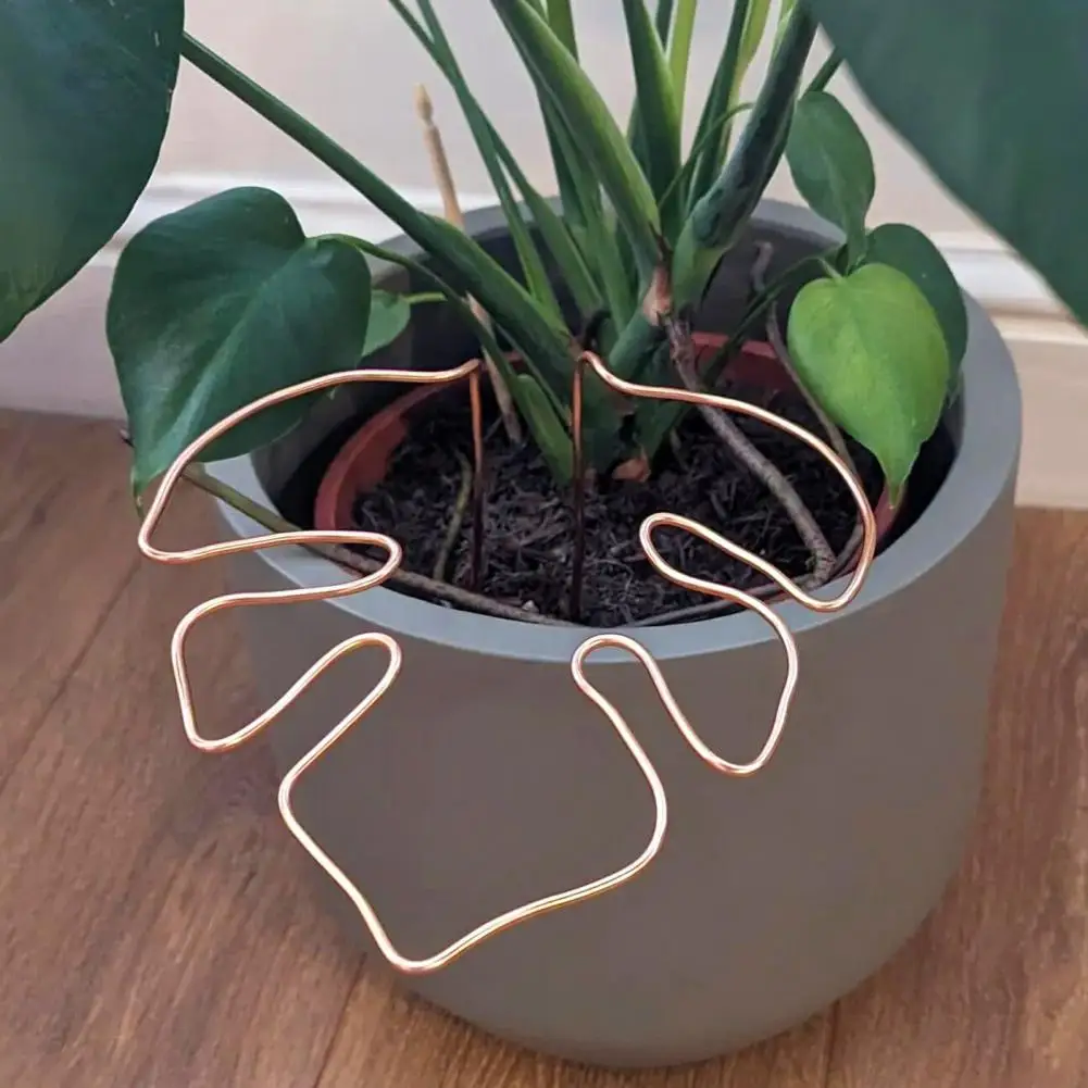 Plant Stand Rustproof Corrosion Resistant Simple Installation Monstera Shaped Plant Support Stake Flower Shaped Support Pile