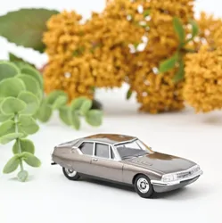 New 1/64 Scale CitrRoenn SM 1972 Diecast Alloy toy Cars 3 inches model For Collection Gift
