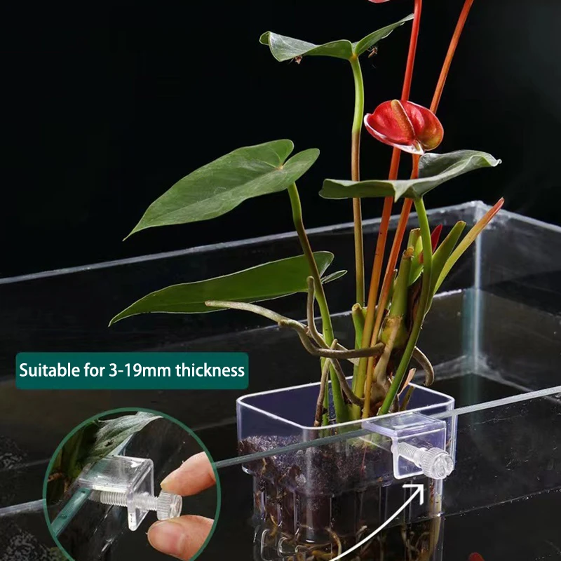 Multifunctional Fish Aquarium Water Grass Planting Cup Breeding Isolation Box Fish Tank Hydroponic Plants Tank Landscaping fish aquarium,fish breeding box,hydroponic planter