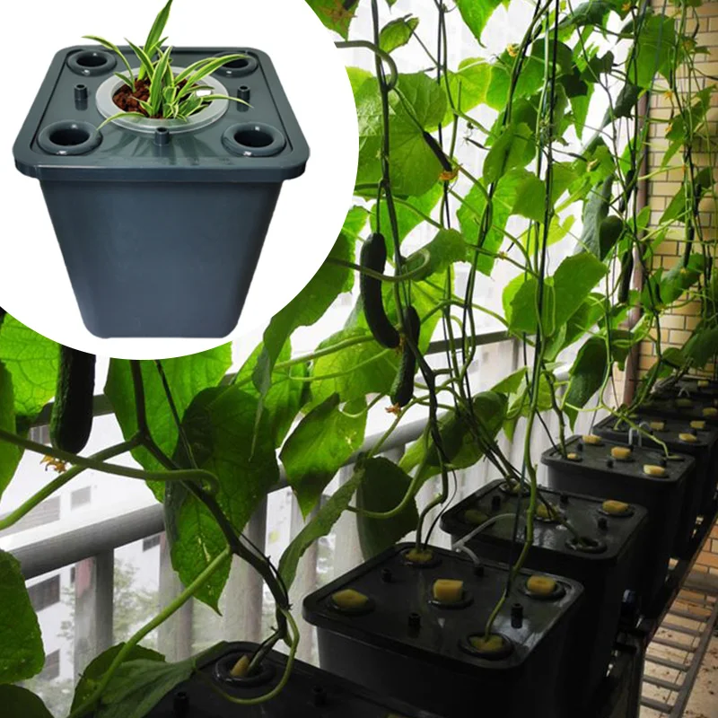 DIY Home Soilless Cultivation Equipment Balcony Vegetable Hydroponic Bucket Cucumber Tomato Plant Growth Hydroponic System hydroponic gardening kit hydroponic planting tools