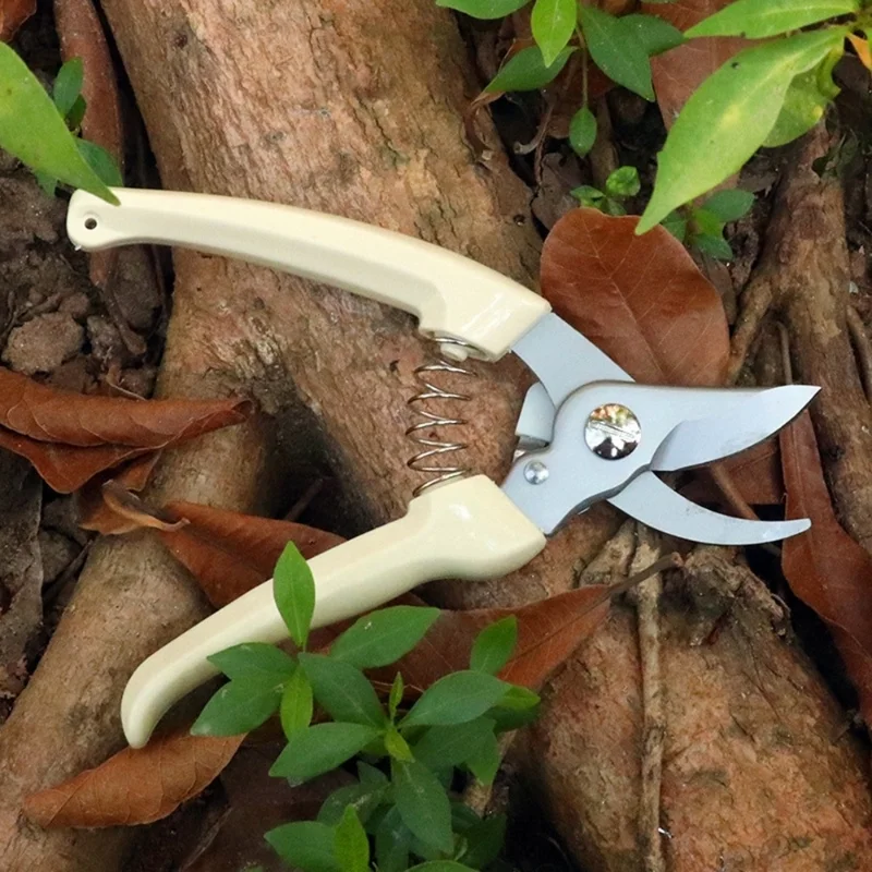 

Pruner Orchard Garden Shears Hand Tools Bonsai For Scissors Gardening Machine Chopper Pruning Shears Brush Cutter Professional