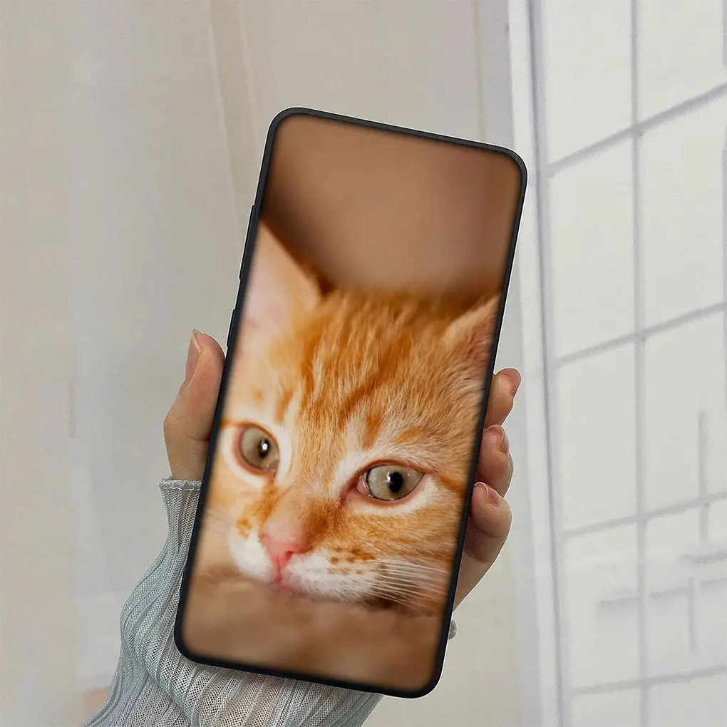 Meow Eyes Kitten Cat Soft Phone Case Cover