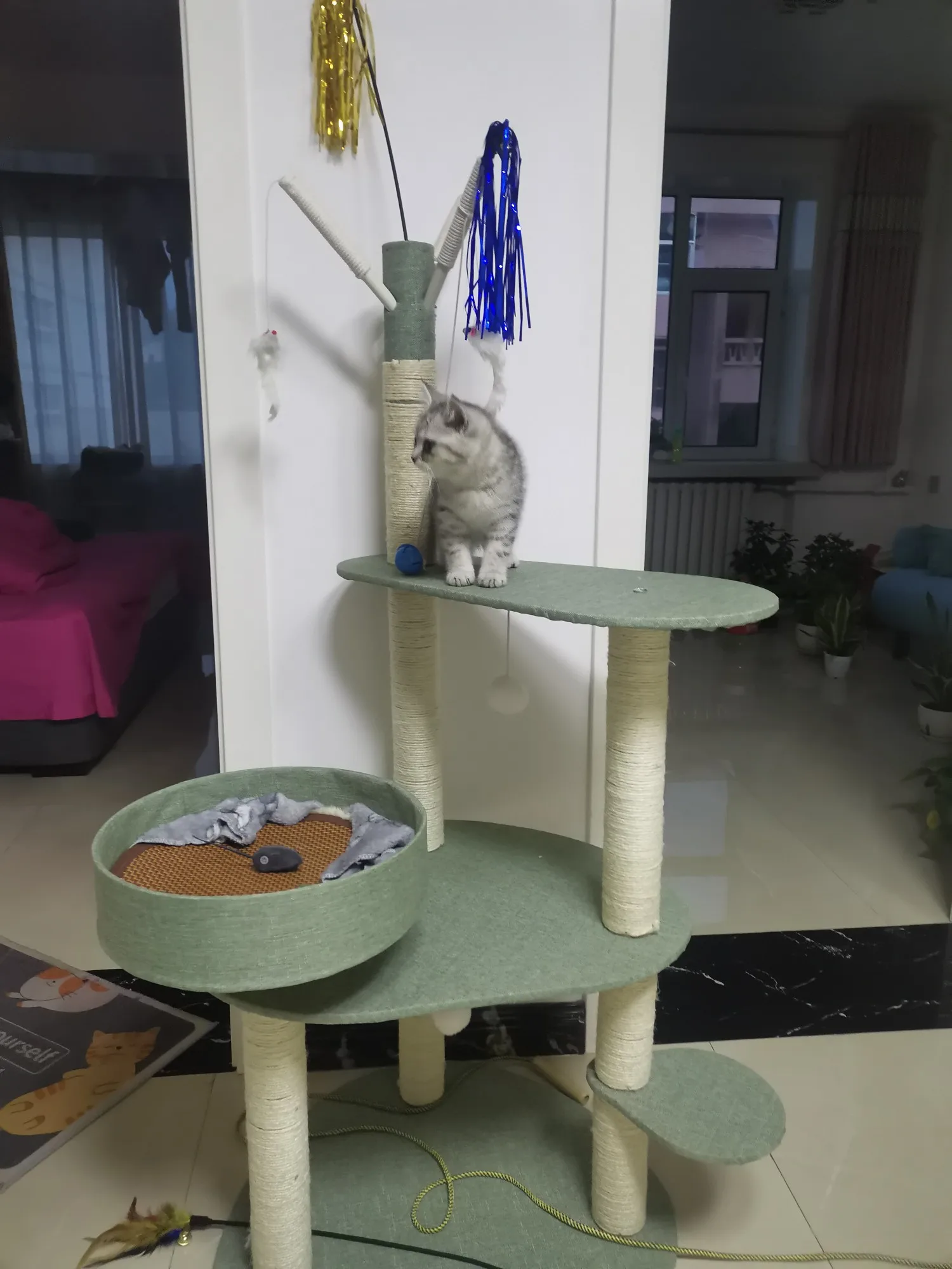 S51989e9f6a764782a9de949108ccf263r