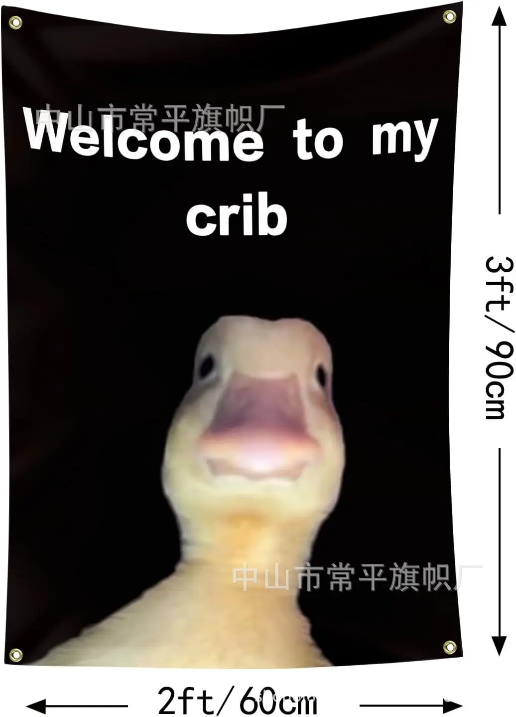 Welcome To My Baby Crib Parody Background Cloth 2x3 Feet Funny Flags Prank Home Decoration Wall Cloth Teasing Ducks 2